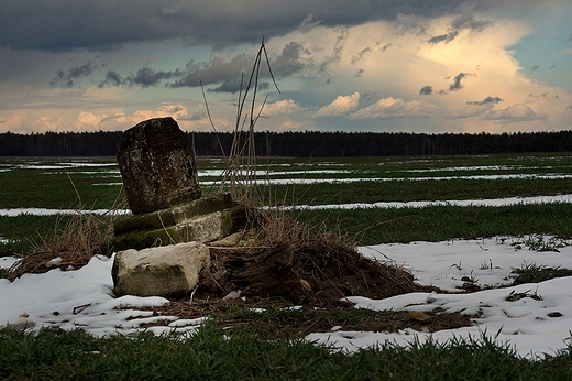 Roztocze. Na polach Werchraty