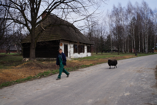 Wielkanoc na lsku Prezentacja zwyczajw wiosennych i wielkanocnych