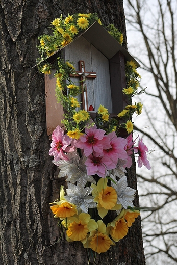 Kapliczka nadrzewna w wiosennej odsonie