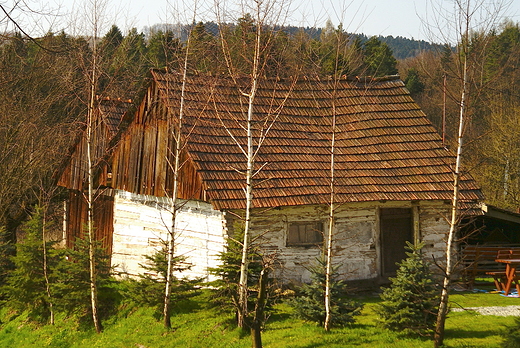 W Kalwarii Zebrzydowskiej