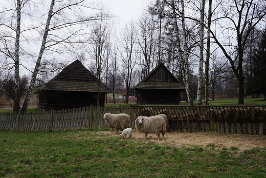 Skansen w Chorzowie