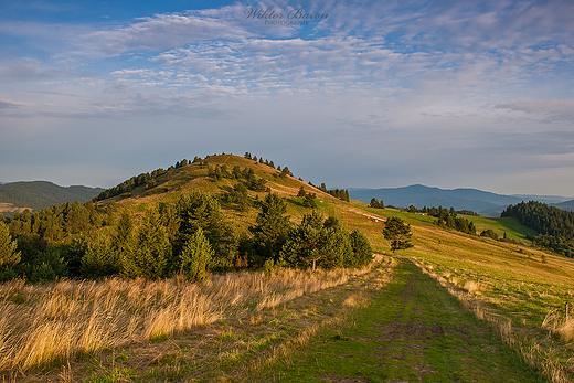 Wysoki Wierch. Mae Pieniny