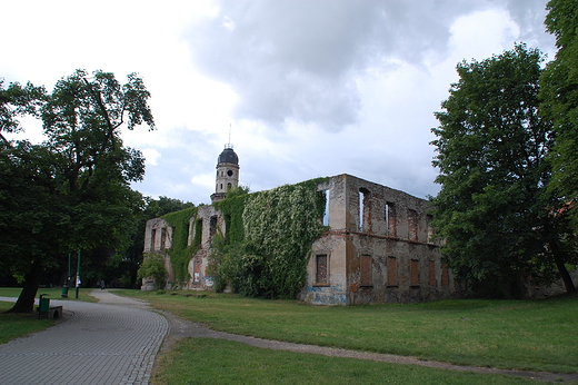 Strzelce Opolskie - Ruiny zamku