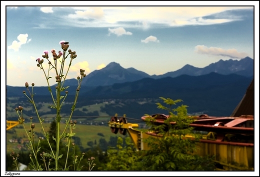 Zakopane - grska przyroda _ z Antawki