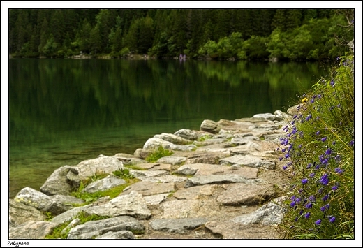 Zakopane - Morskie Oko