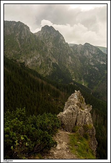 Zakopane - Sarnia Skaa