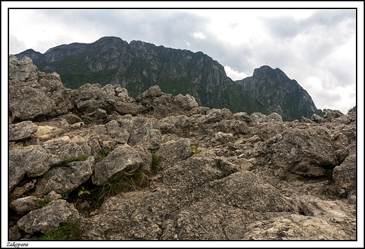 Zakopane - Sarnia Skaa