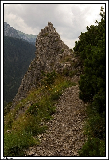 Zakopane - Sarnia Skaa