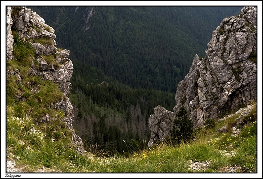 Zakopane - Sarnia Skaa