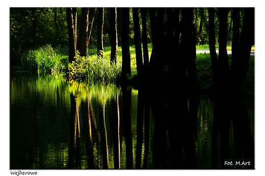 Wejherowo - Park im. Aleksandra Majkowskiego w Wejherowie