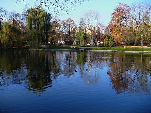 kielecki staw w parku