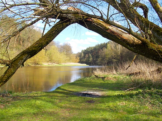 Szczypiorno. Nad Wkr.