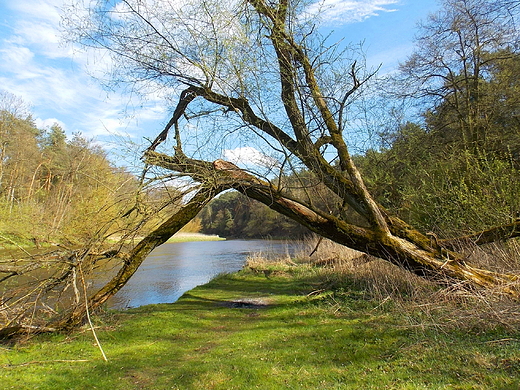 Szczypiorno. Nad Wkr.