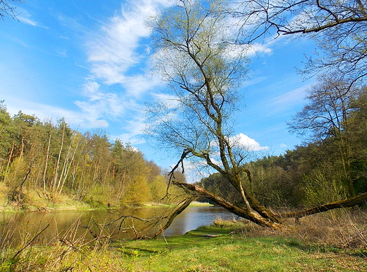 Szczypiorno. Nad Wkr.