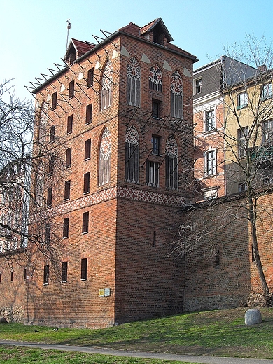GOŁĘBNIK