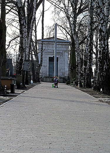 Na kocu cmentarnej alei