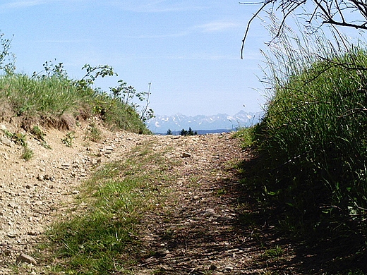 Tatry z towni. Beskid Makowski