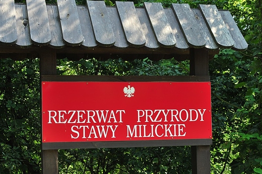 Stawy miulickie