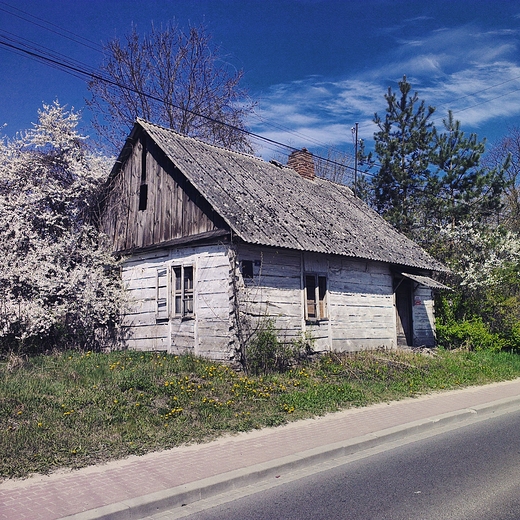 Liw - niszczejca drewniana chata...