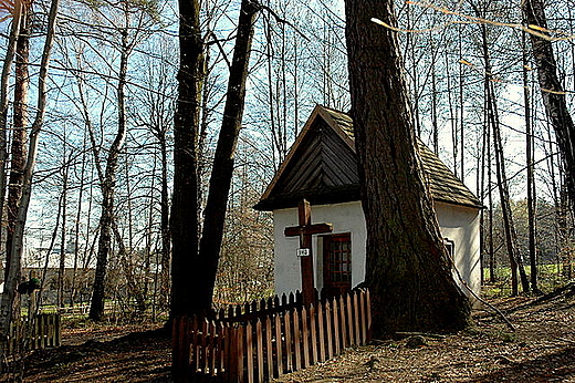 wita Katarzyna - przy kapliczce Stefana eromskiego