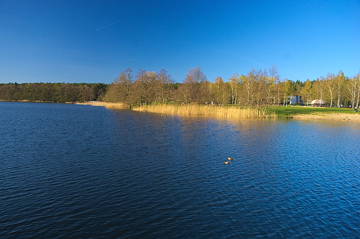 Jezioro Strzeszyskie