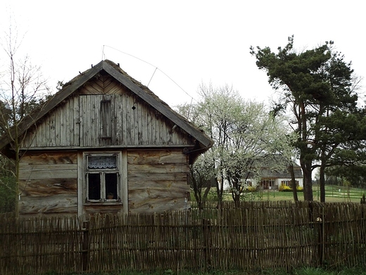 W skansenie - Muzeum Wsi Mazowieckiej