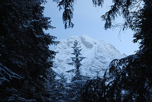 Widok na Giewont