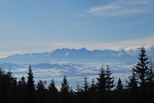 Widok na Tatry. Gorce