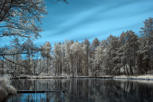 Krajobraz w podczerwieni INFRARED