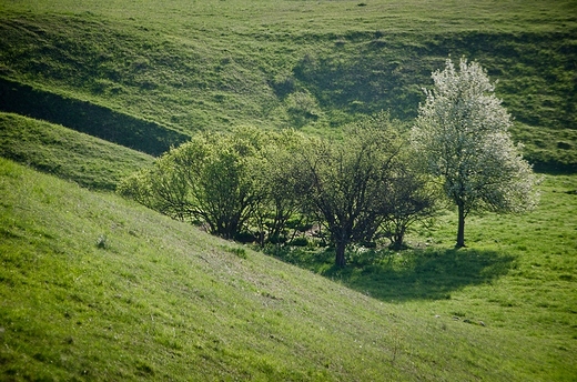 Na Suwalszczynie wiosn.