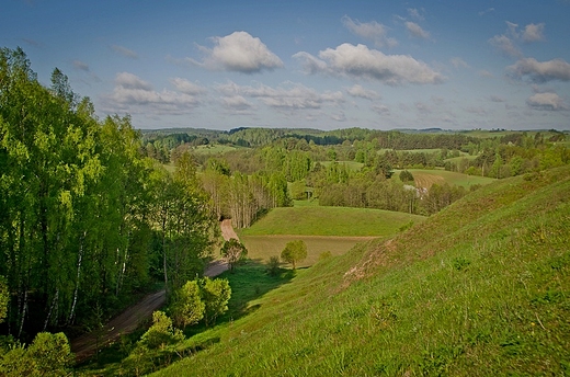 Wiosna w Suwalskim Parku Krajobrazowym.
