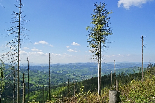 Na szlaku na Barani Gr.