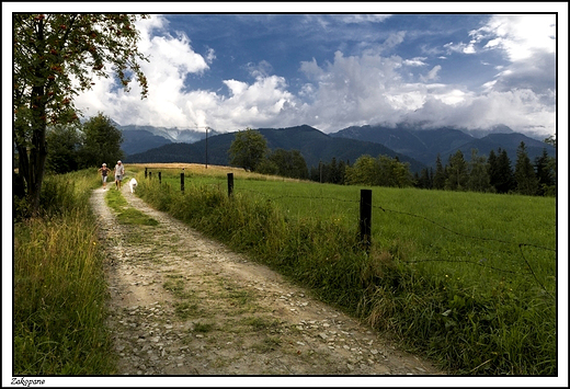 Zakopane - widok z Antawki