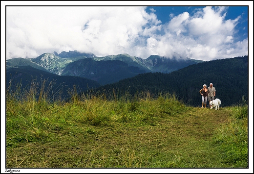 Zakopane - widok z Antawki