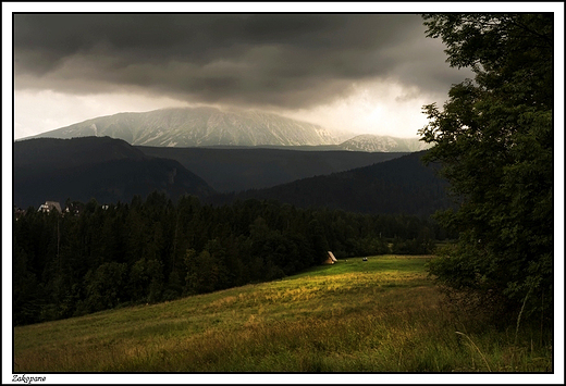 Zakopane - widok z Antawki