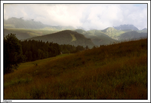 Zakopane - widok z Antawki