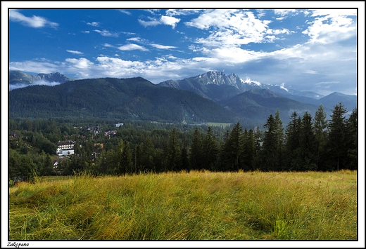 Zakopane - widok z Antawki