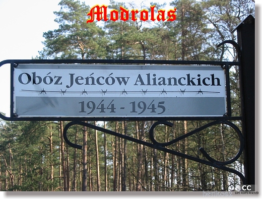 Gross Tychow - Modrolas - niemiecki obz jeniecki dla zestrzelonych lotnikw alianckich.