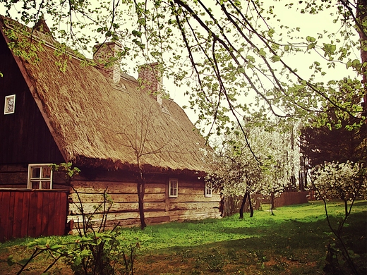 zaszemrze srebrem wit  zastuka do okna biao