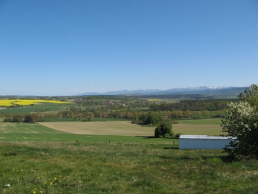 Proszwka - wiosenne pola