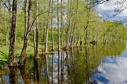 Wiosenne klimaty.