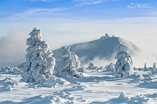 Krlowa w zimowej scenerii. Karkonosze