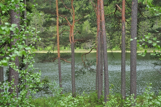 Wigierskie jeziorka