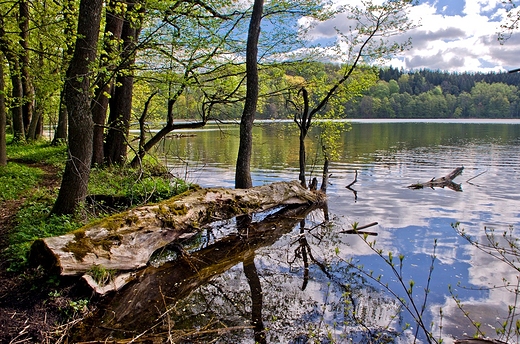 Jezioro Hacza i wiosna.