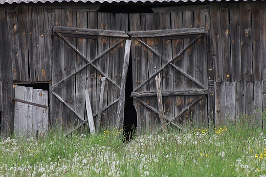 Z wiejskiego podwrka