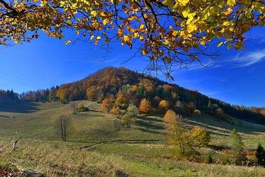 Jesienne spojrzenie na Wysok