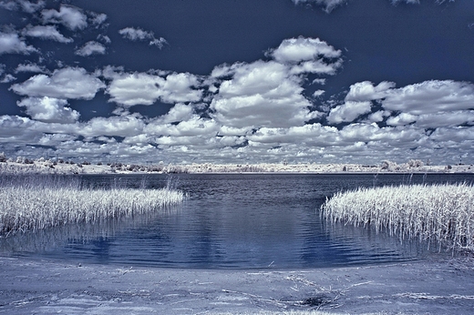 Infrared - wiosenna Suwalszczyzna.