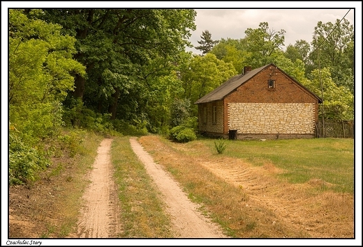 Czachulec Stary - las skrywajcy mroczn prawd _ tu byo wiejskie getto ...