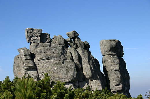 Karkonosze - Soneczniki