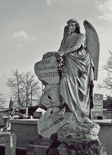 Nagrobek na cmentarzu w Bdzinie (Wzgrze Zamkowe)